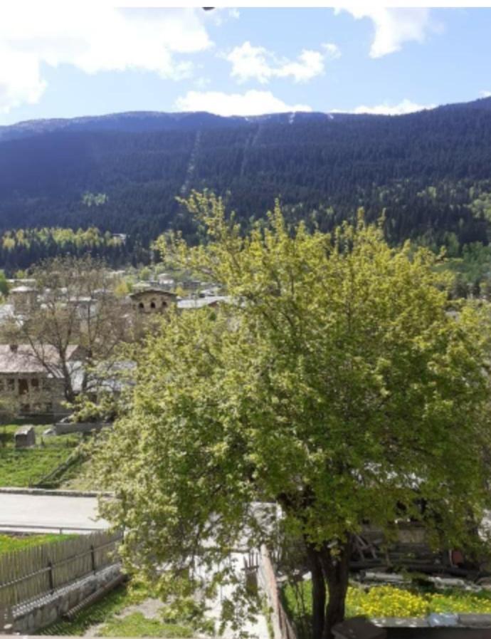 Hotel White Mountains • Თეთრი Მთები Mestia Eksteriør billede